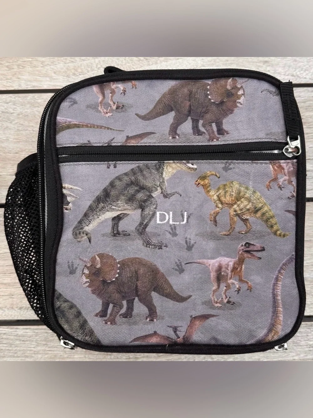 KIDS Pottery Barn Kids Mackenzie Gray Dinosaur Photoreal Classic Lunch Box